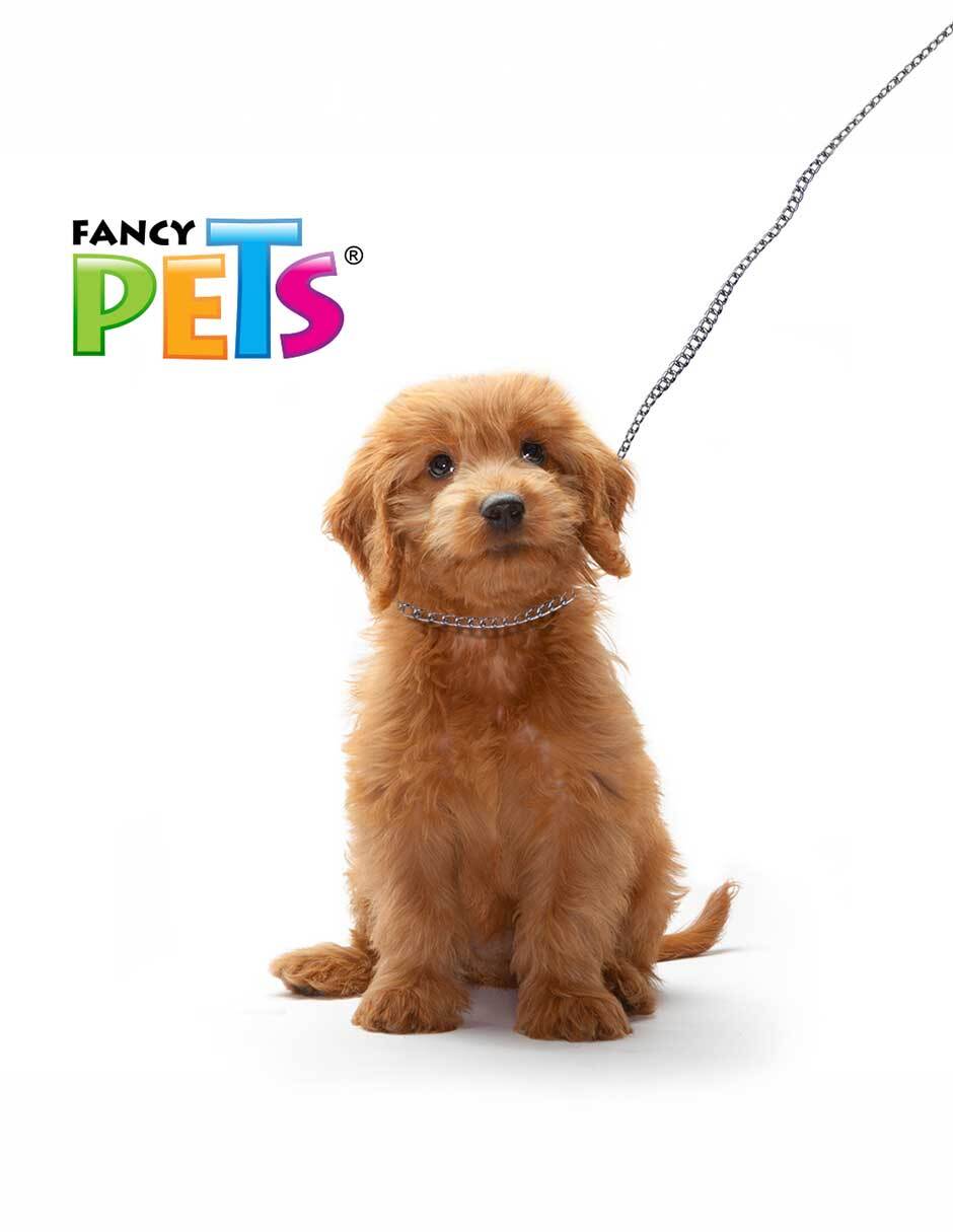 Collar Fancy Pets de acero para perro