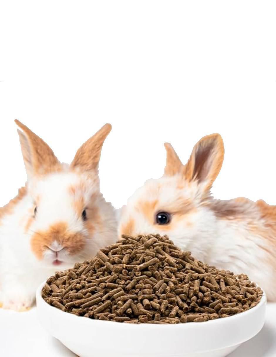 Semillas original para conejo todas las etapas contenido individual 1 kg 2
