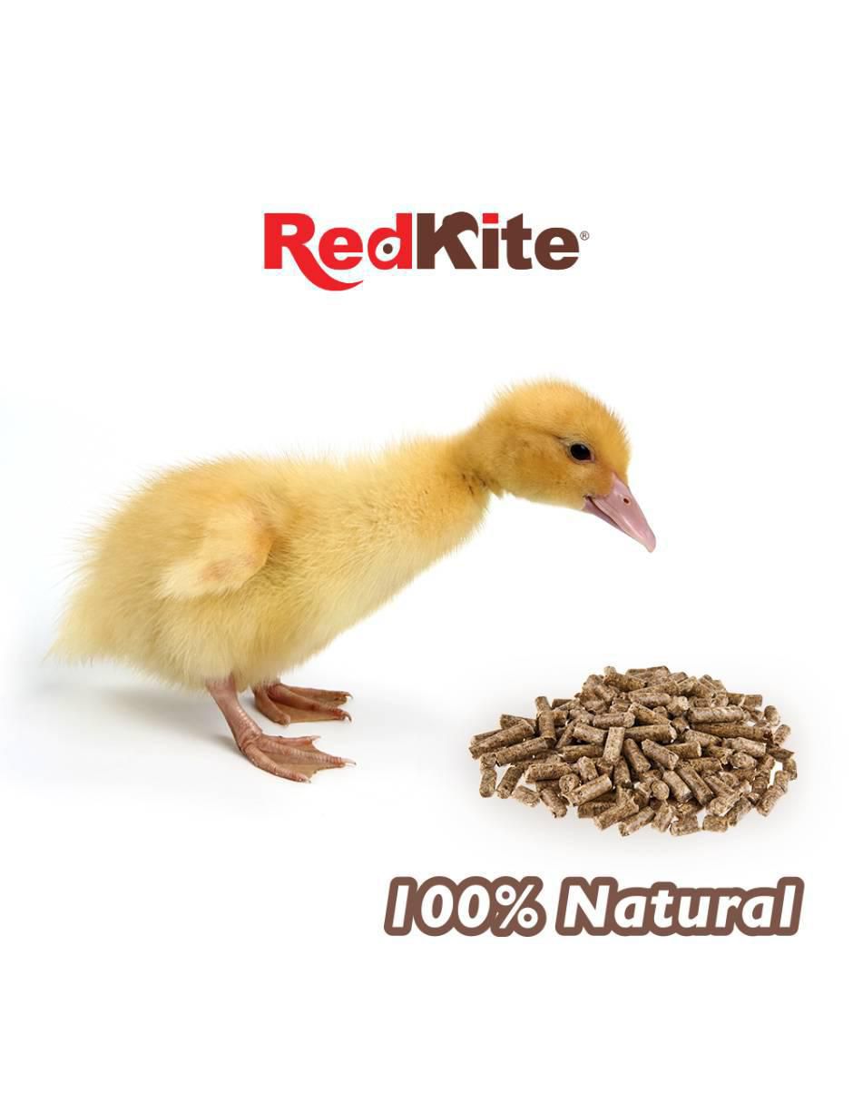 Hojuelas para pato todas las etapas contenido 1 kg