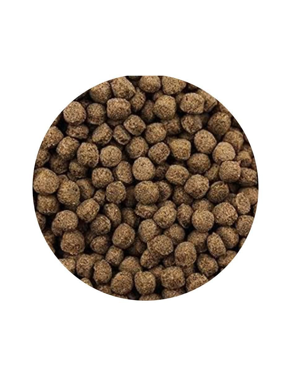 Semillas de carne para tortuga todas las etapas contenido individual 90 g