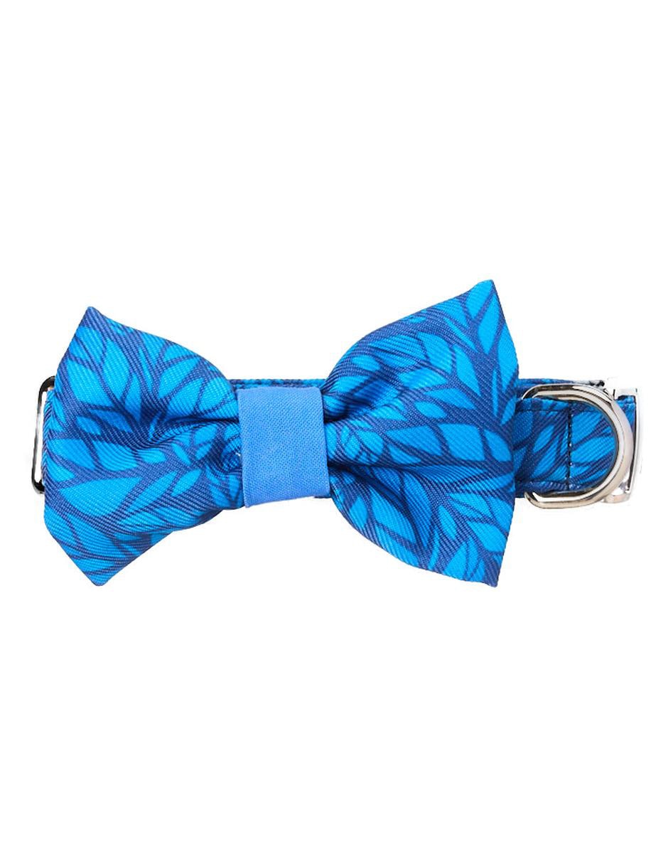 Collar para perro