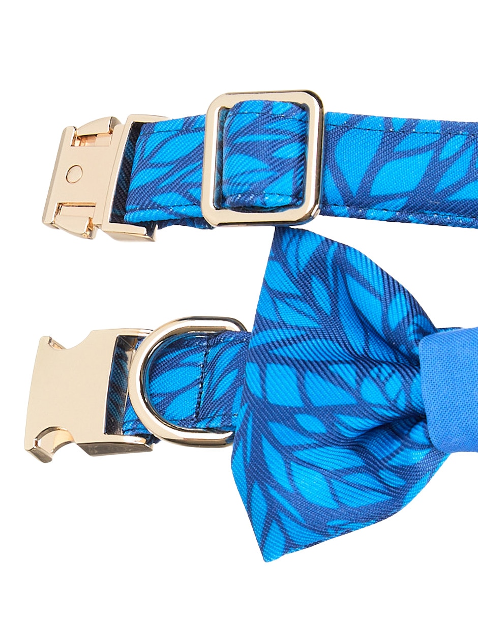 Collar Lorenzo The Dog para perro