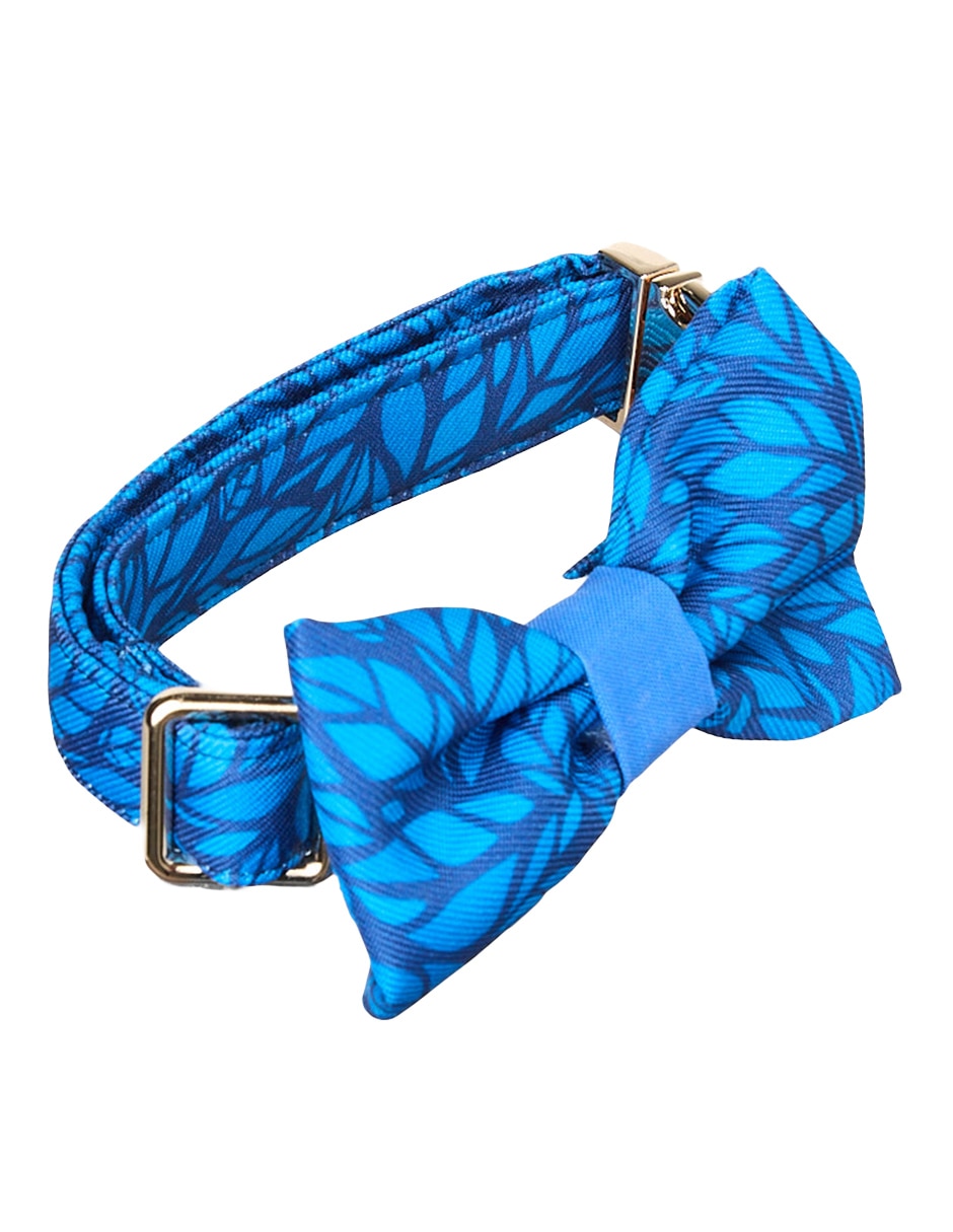 Collar Lorenzo The Dog para perro