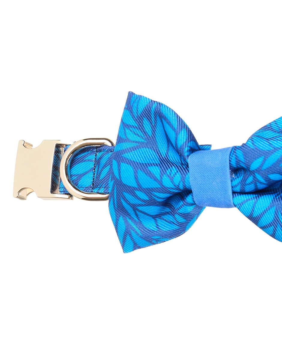 Collar Lorenzo The Dog para perro