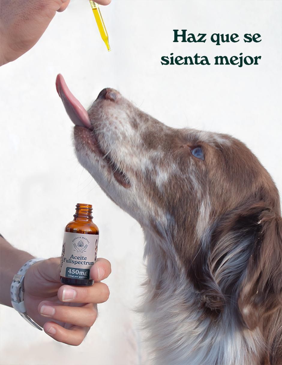 Aceite comestible para mascota