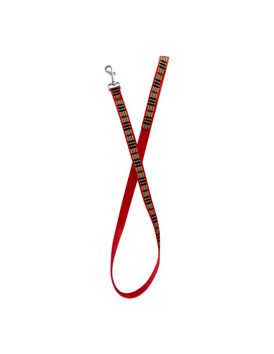 Correa de nylon para perro 2