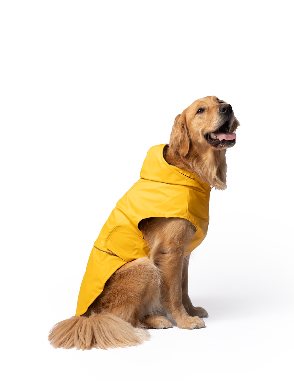 Impermeable para perro
