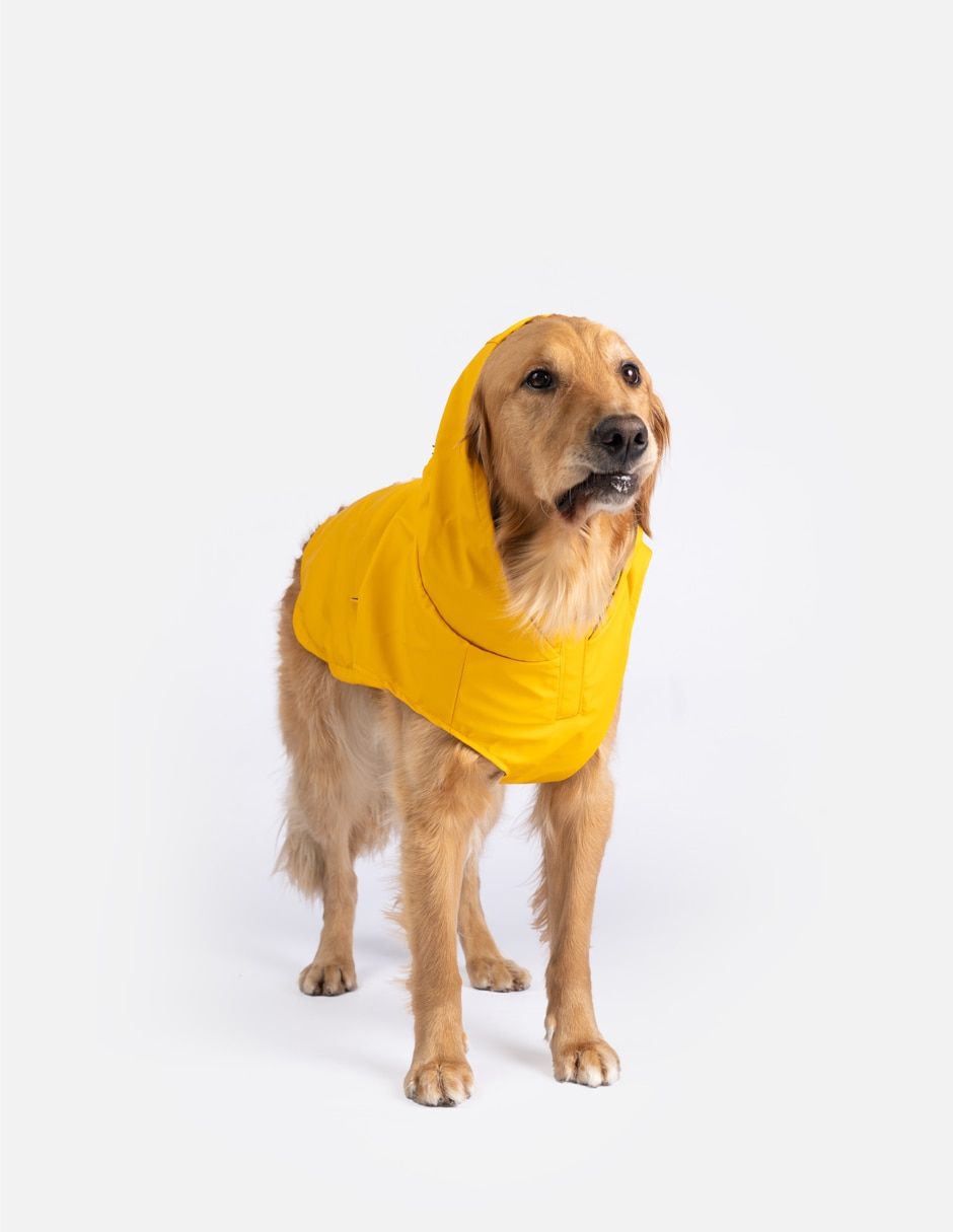 Impermeable para perro 2