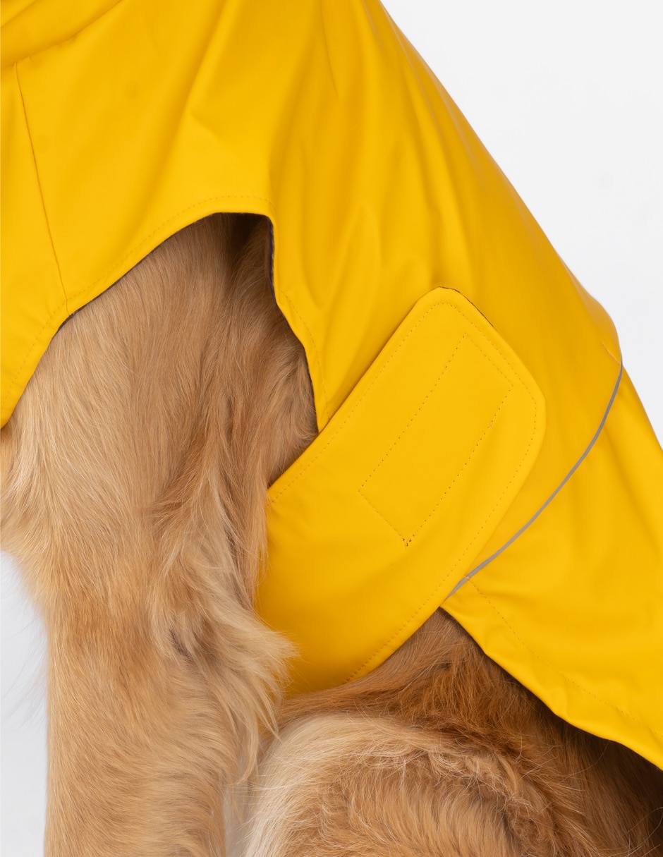 Impermeable para perro 3
