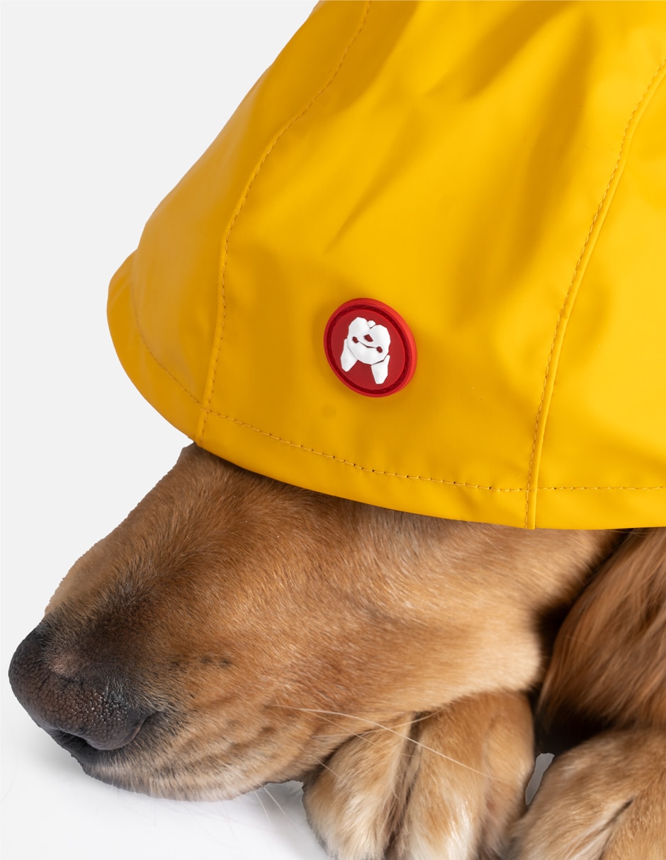 Impermeable para perro 4