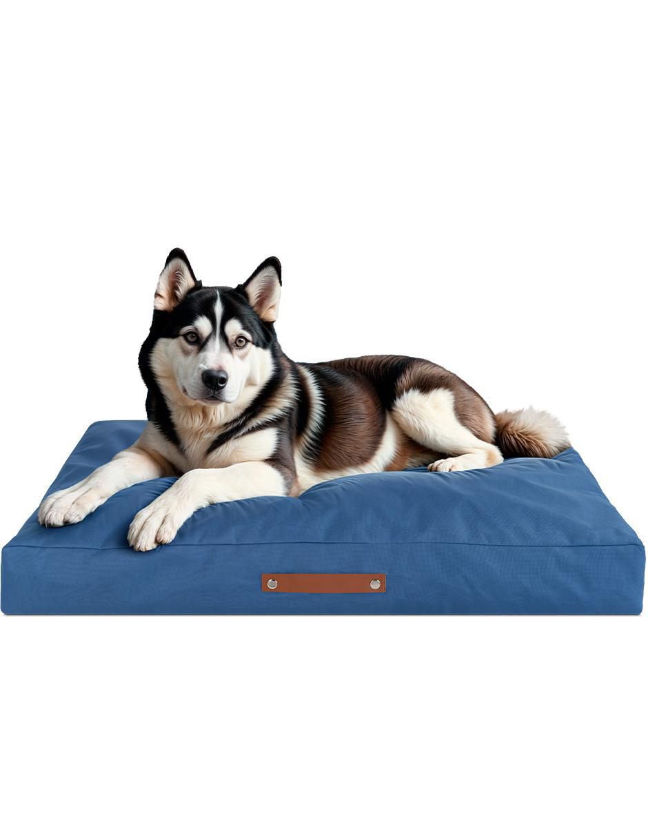 Cama para mascota