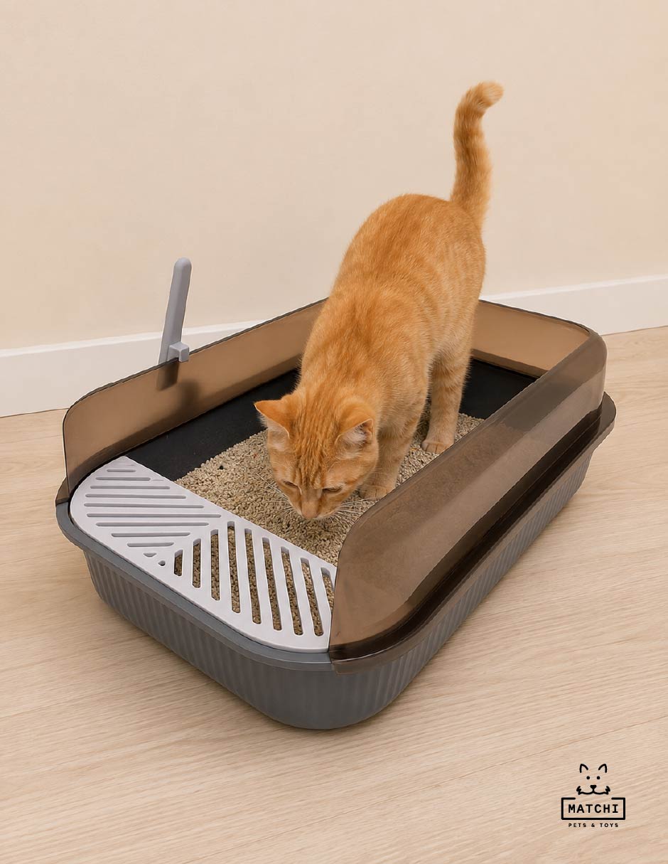 Arenero para gato 6