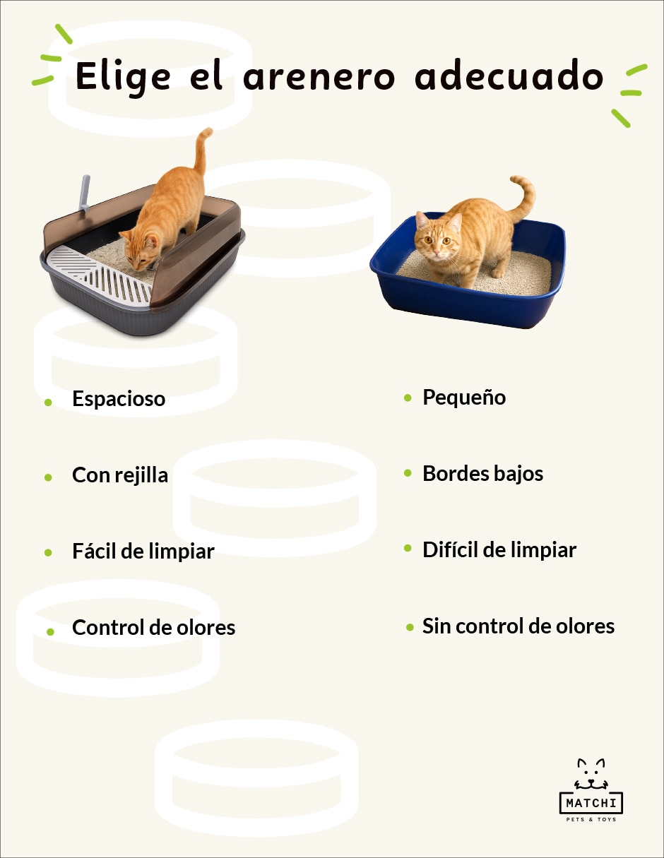 Arenero para gato 8