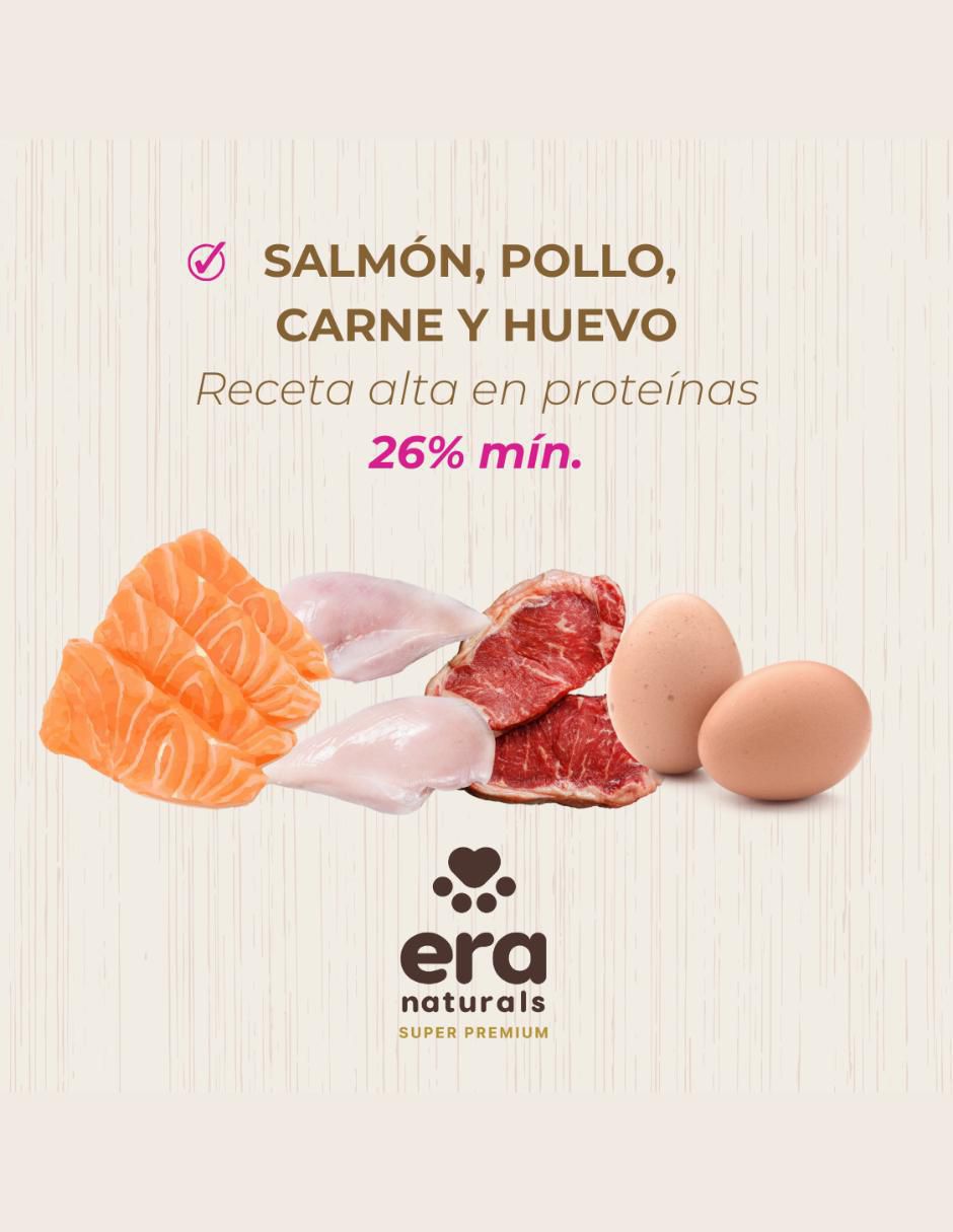 Croqueta de pollo para perro raza pequeña etapa adulto contenido 2 kg 5
