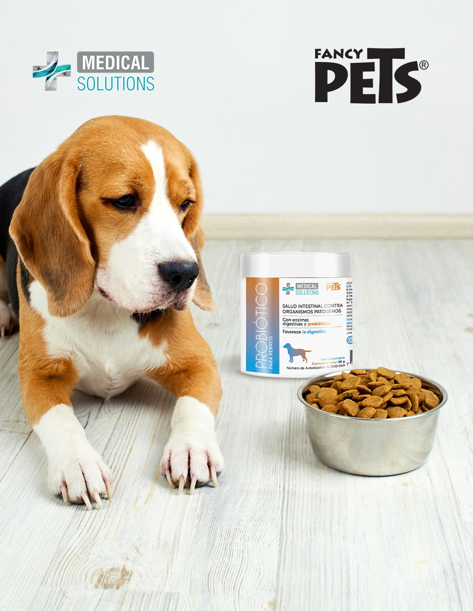 Probiótico para mascota Probiótico para mascota