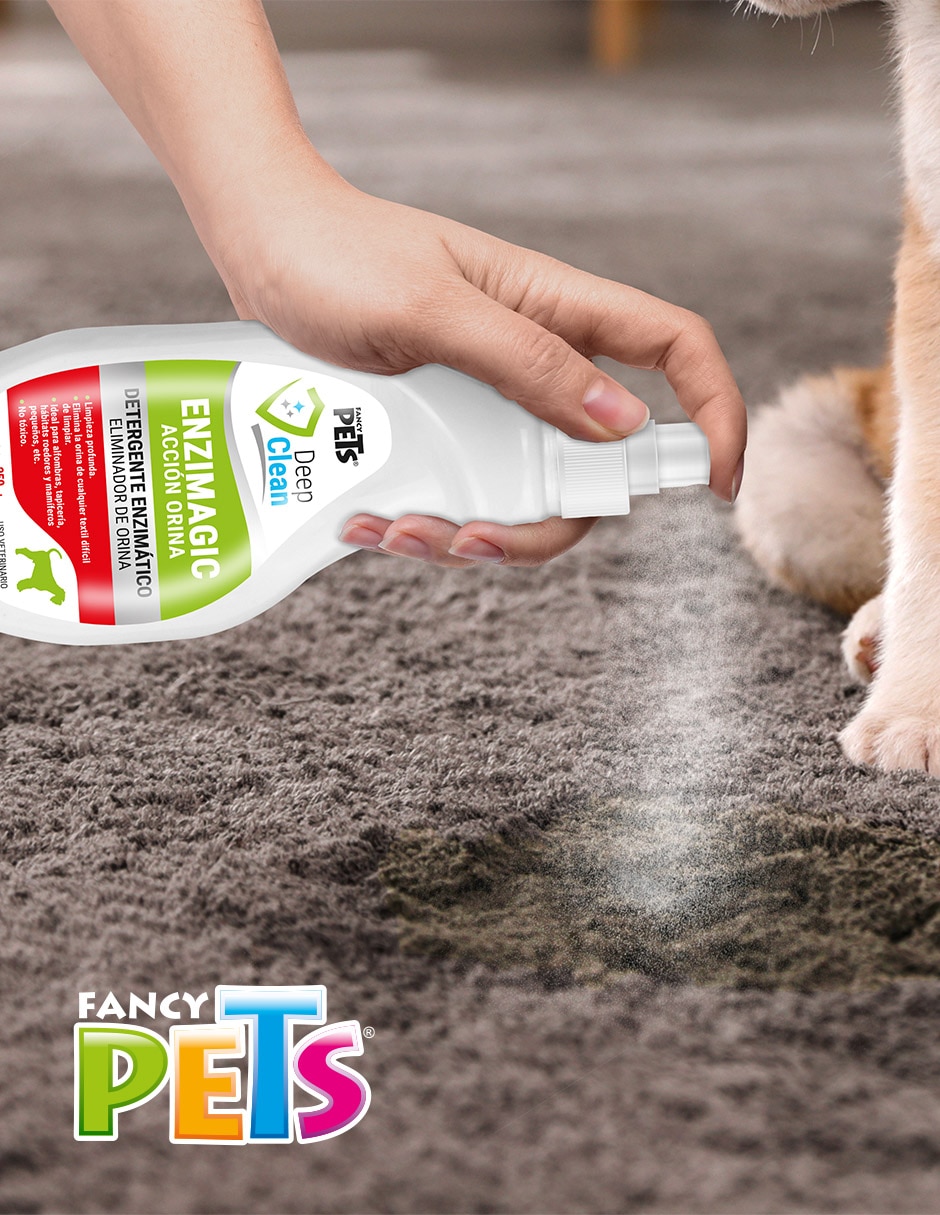 Solución limpiadora para perro Solución limpiadora para perro