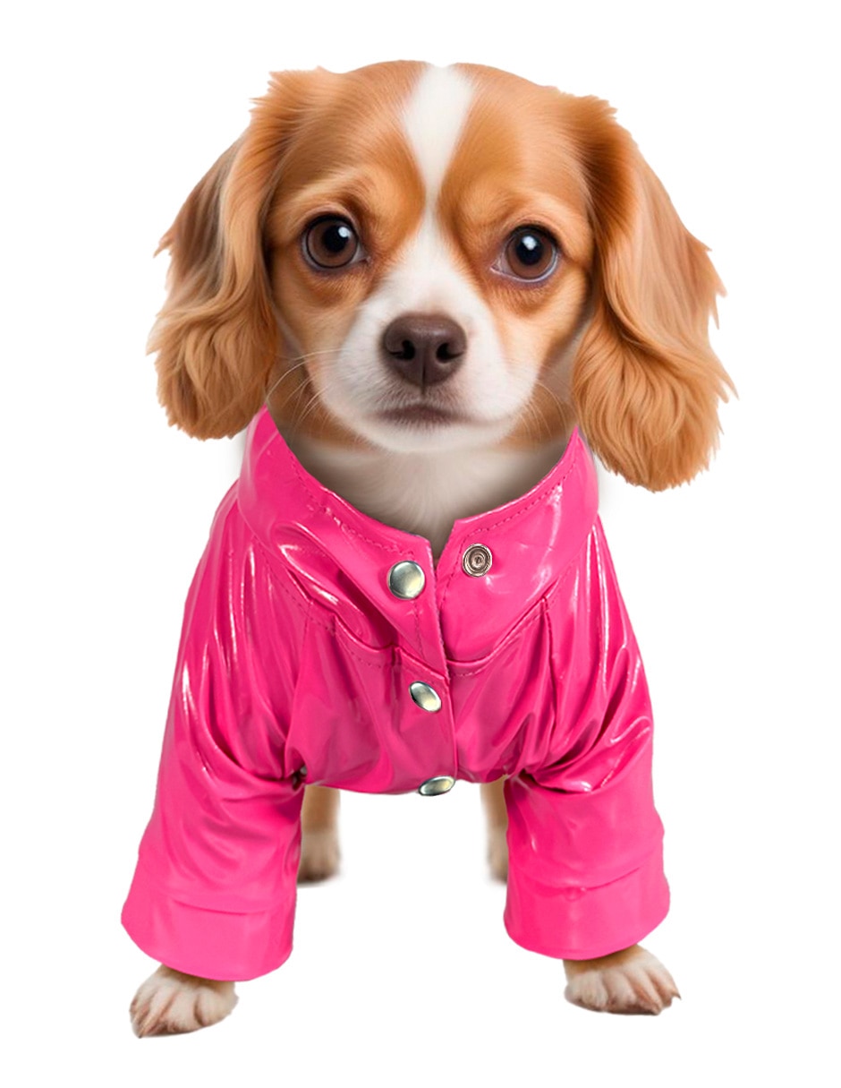 Impermeable para mascota Pikkys 3