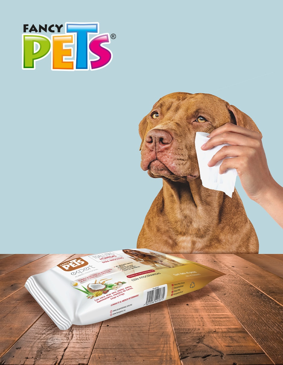 Toallas húmedas para mascota Toallas húmedas para mascota