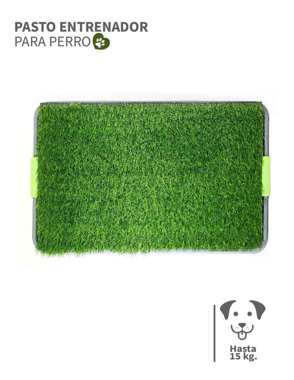 Tapete para perro 7