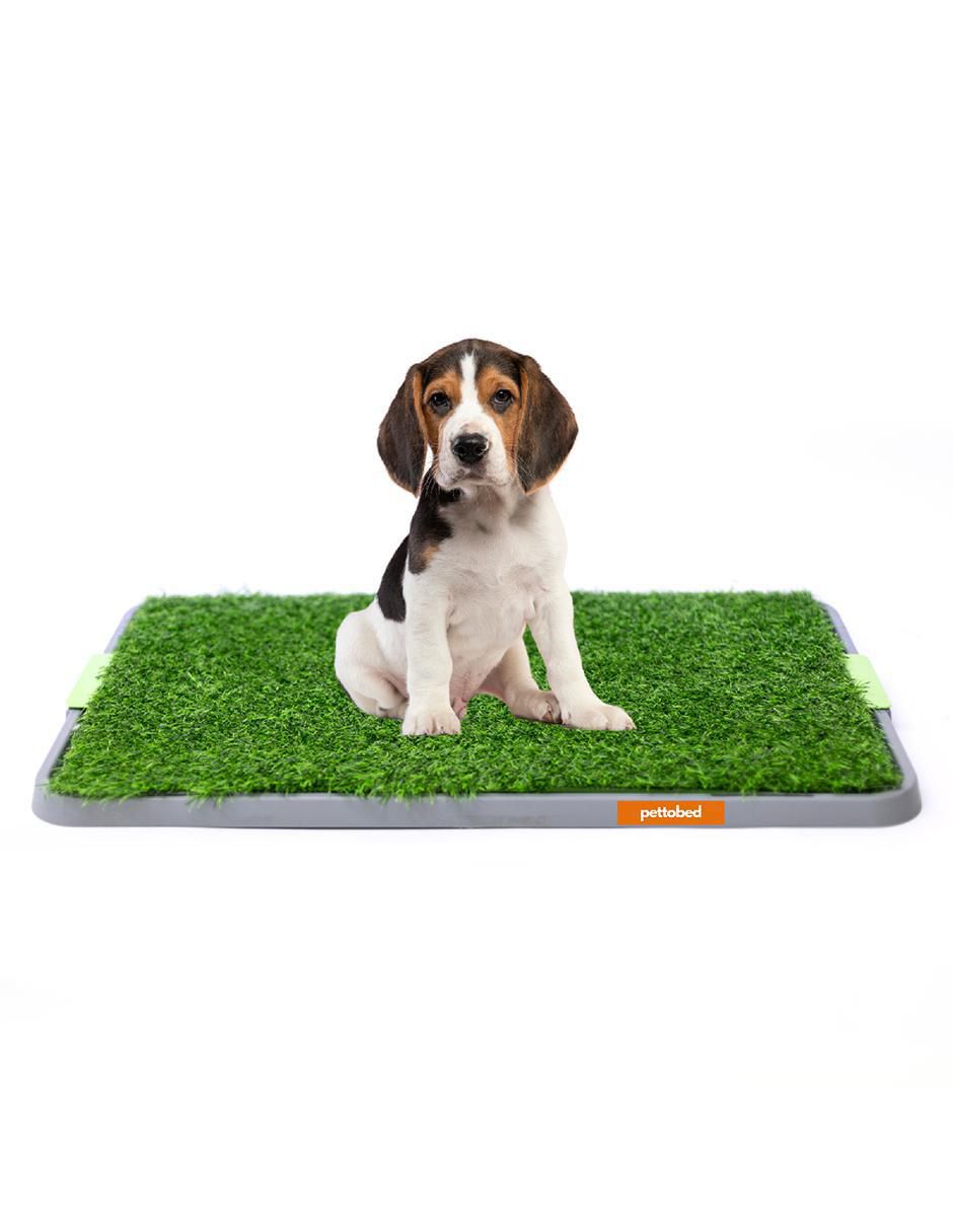Tapete para perro 4