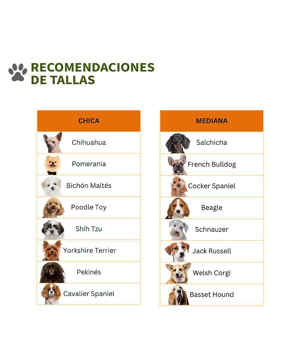 Tapete para perro 2