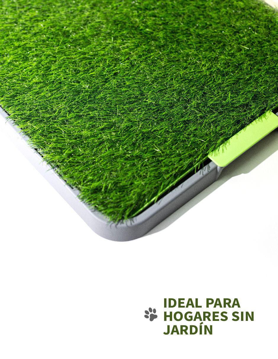 Tapete para perro 8