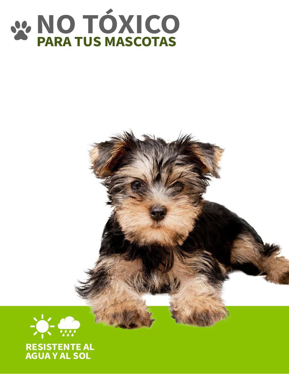 Tapete para perro 3