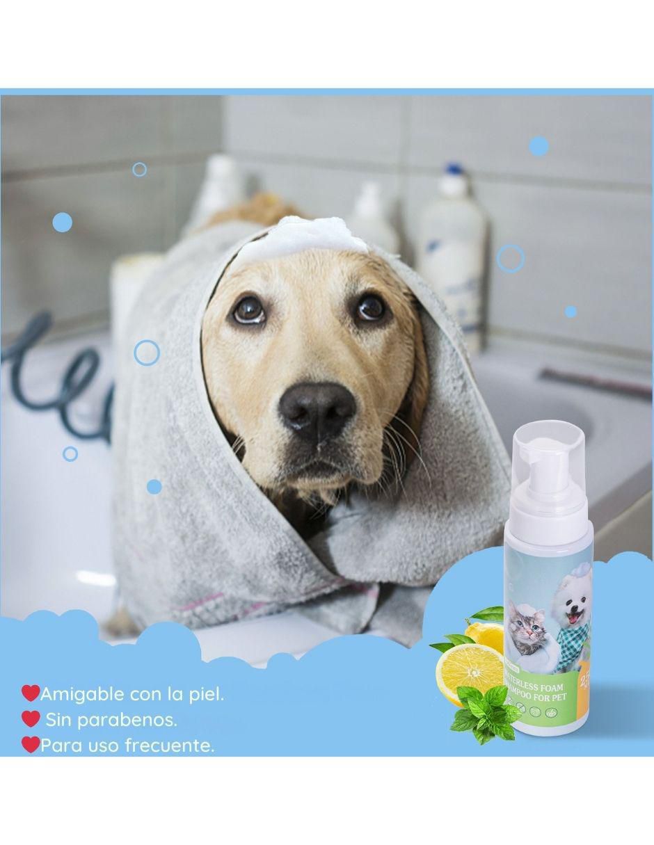 Set espuma baño en seco para perro