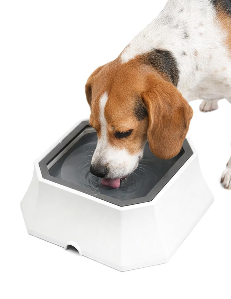 Bebedero apliques para perro y gato Ajolopet 300 ml