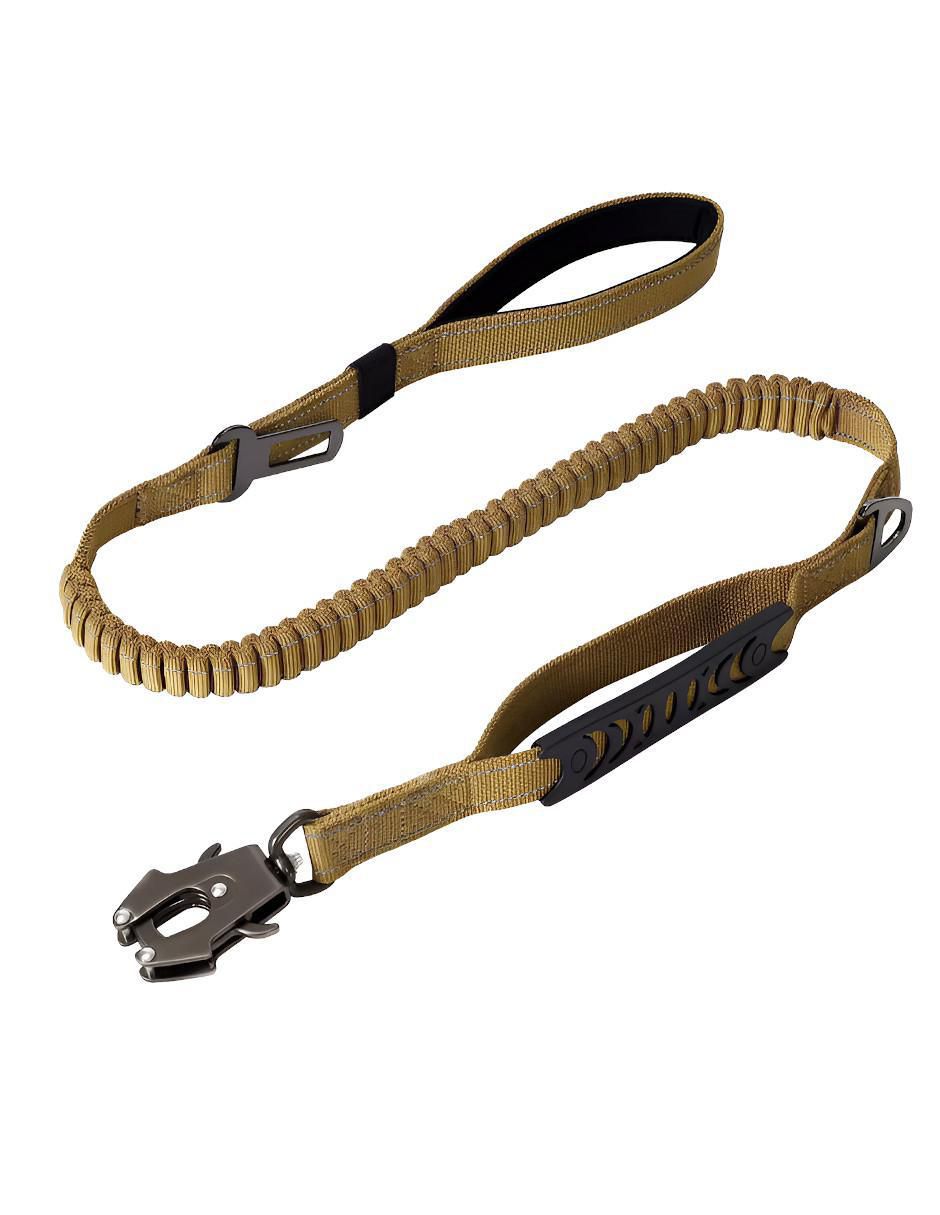 Correa para perro 1