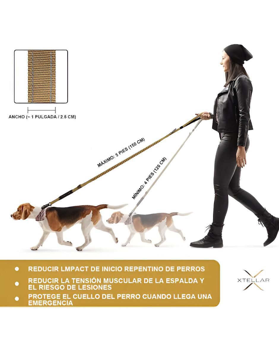 Correa para perro 5