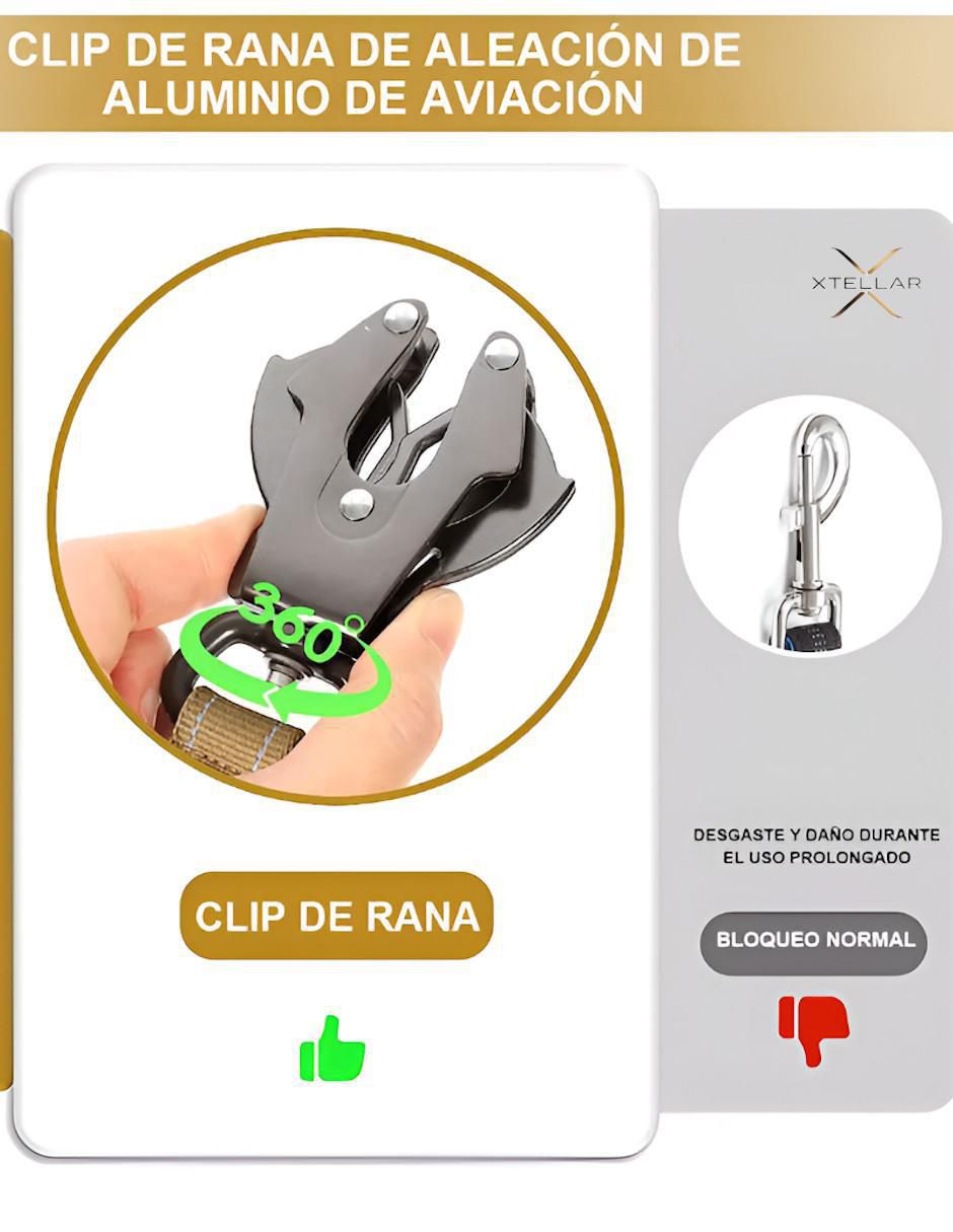 Correa para perro 3