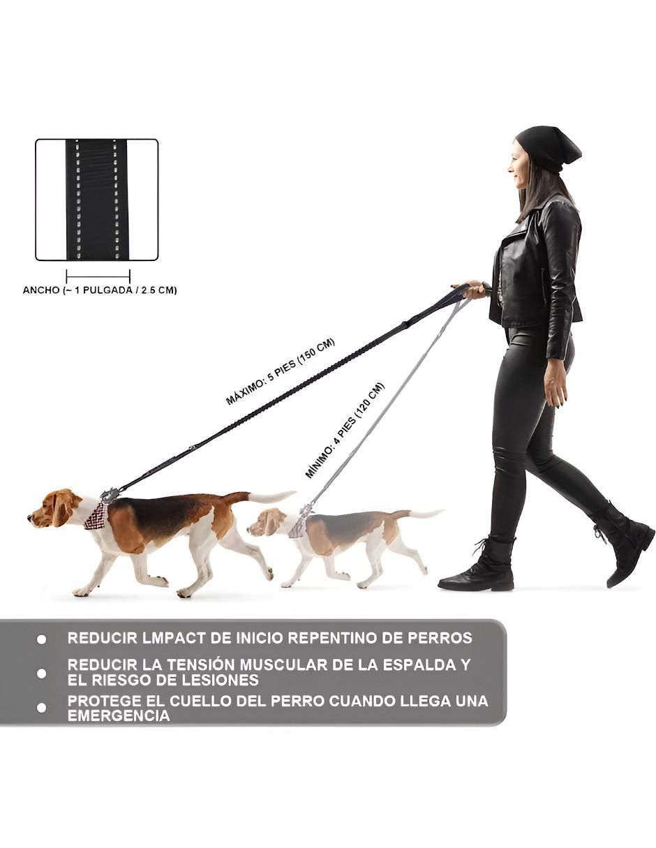 Correa para perro 4