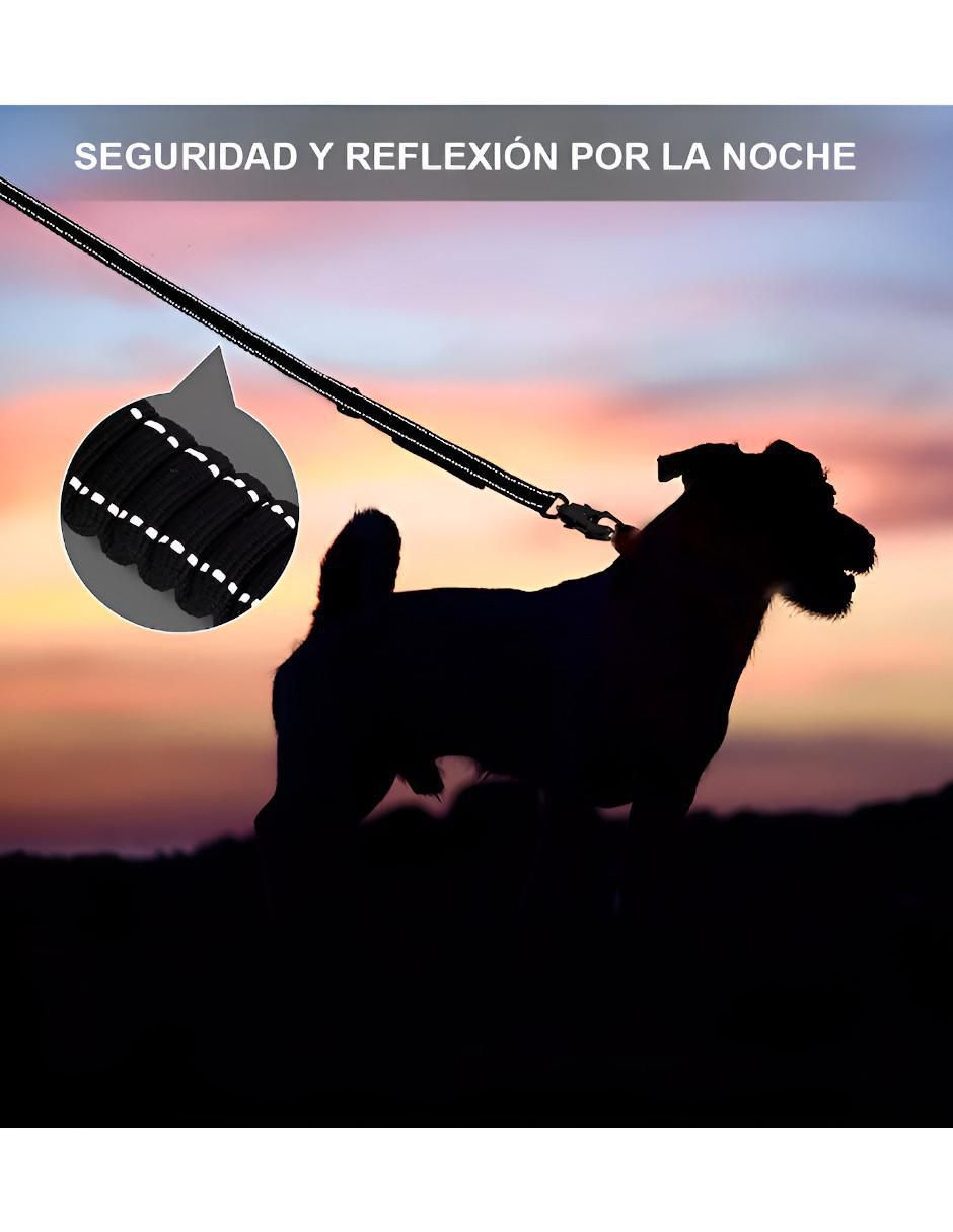 Correa para perro Correa para perro