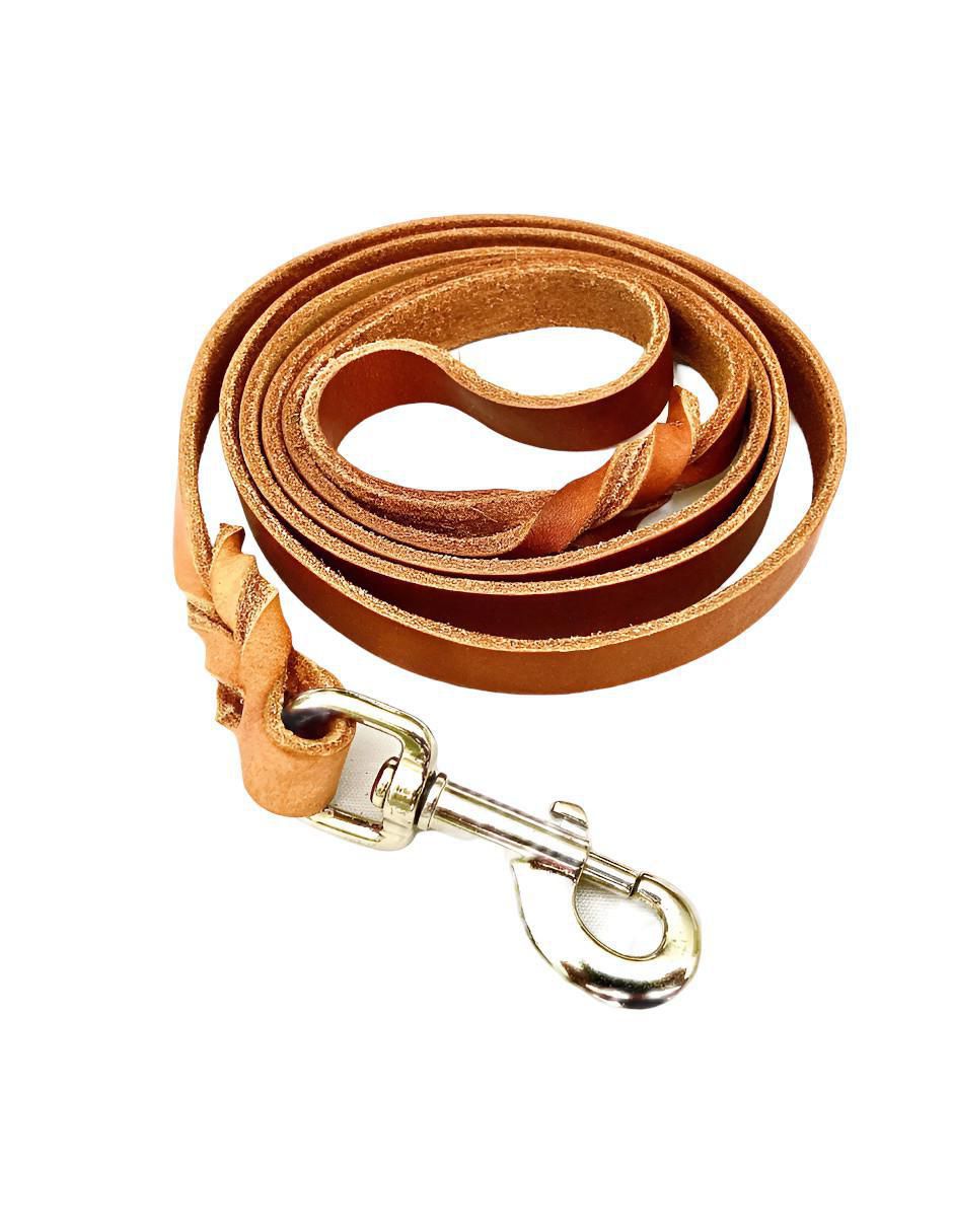 Correa Xtellar de cuero para perro