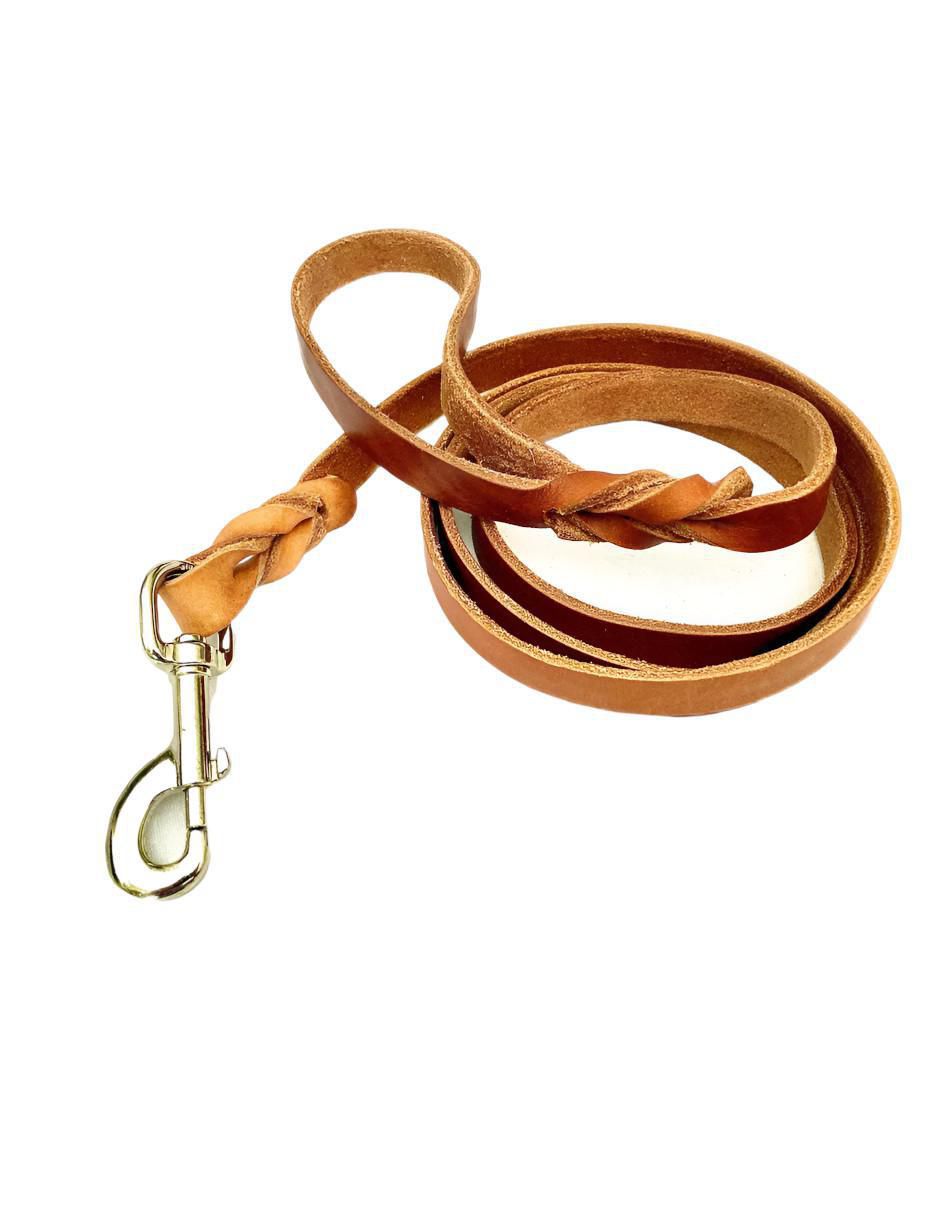 Correa Xtellar de cuero para perro