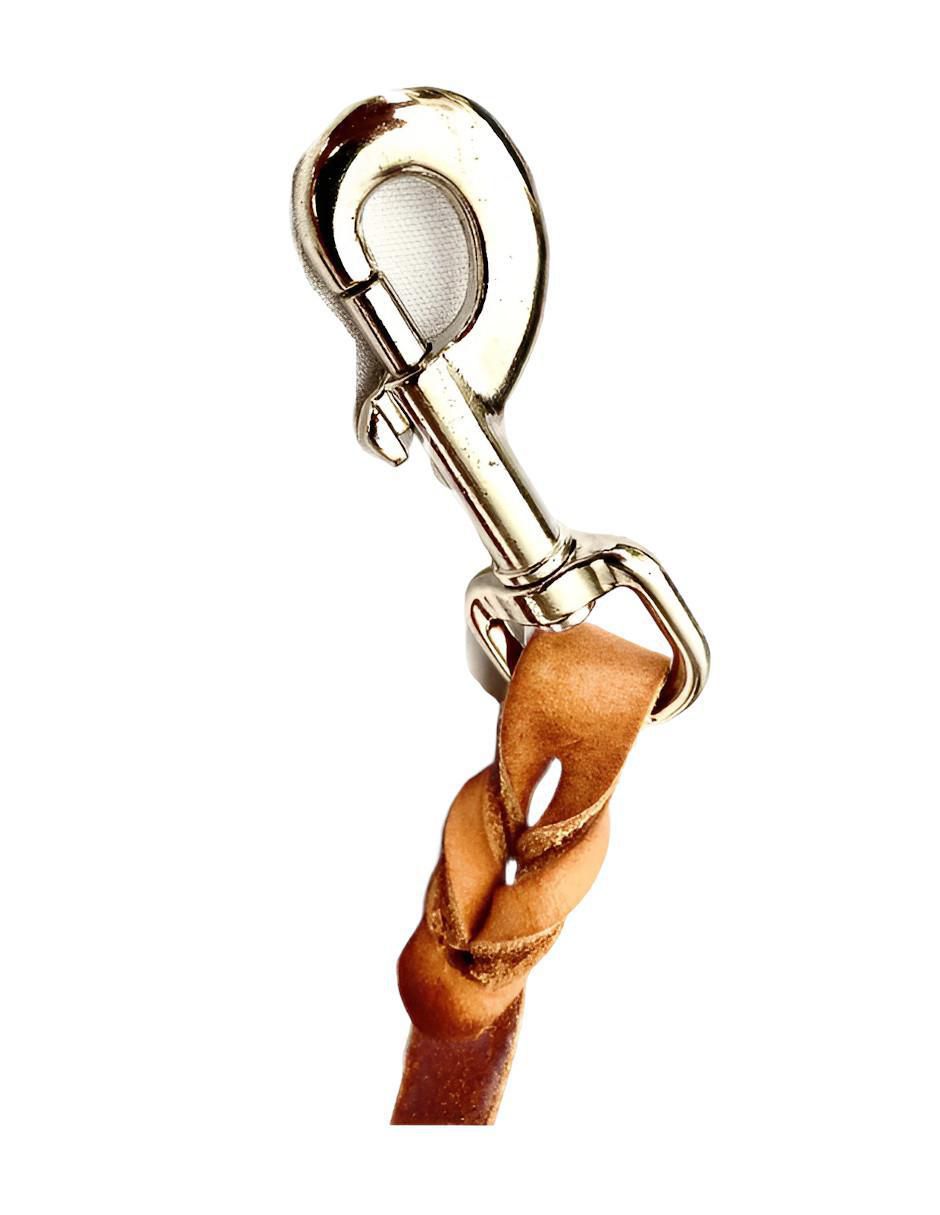 Correa de cuero para perro