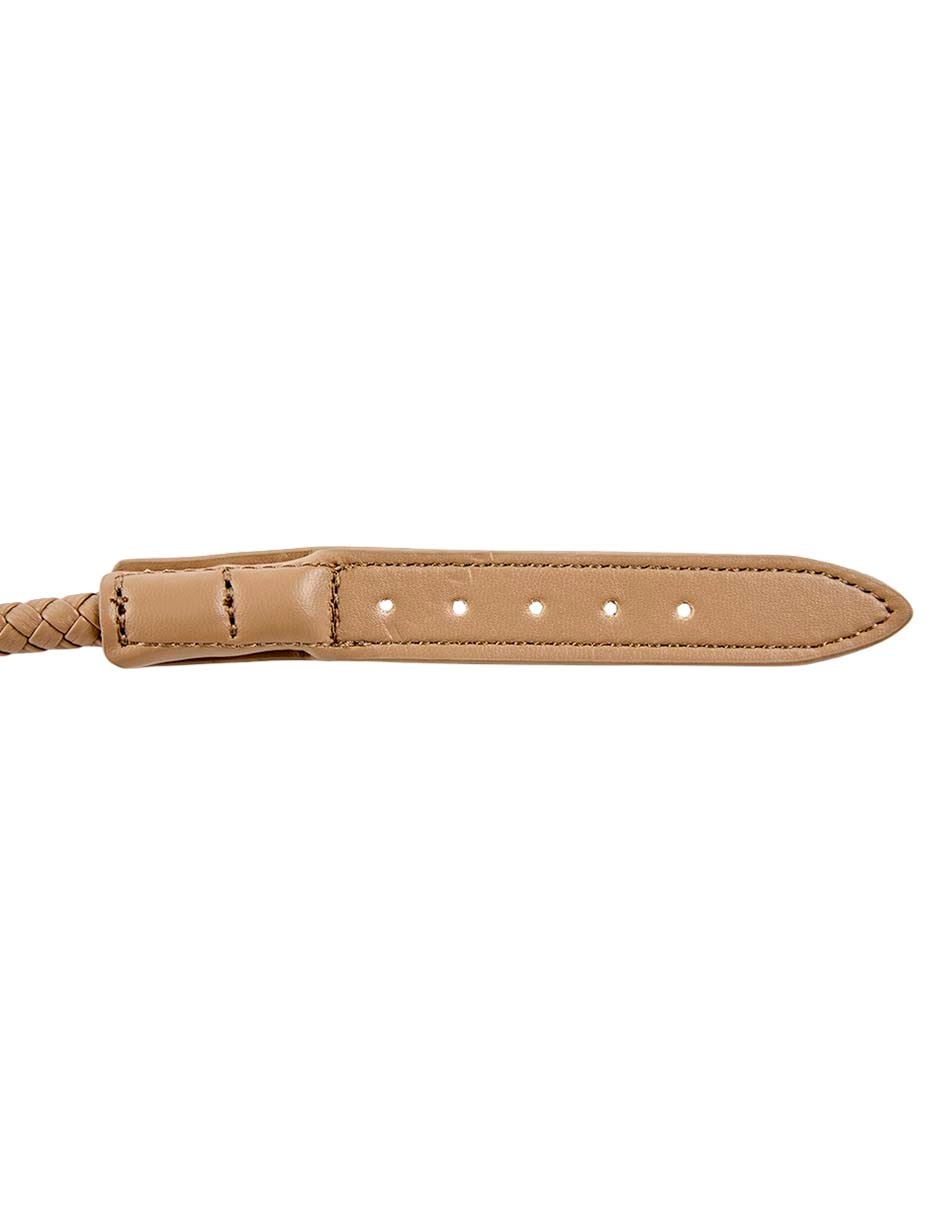 Collar Zoopet para perro