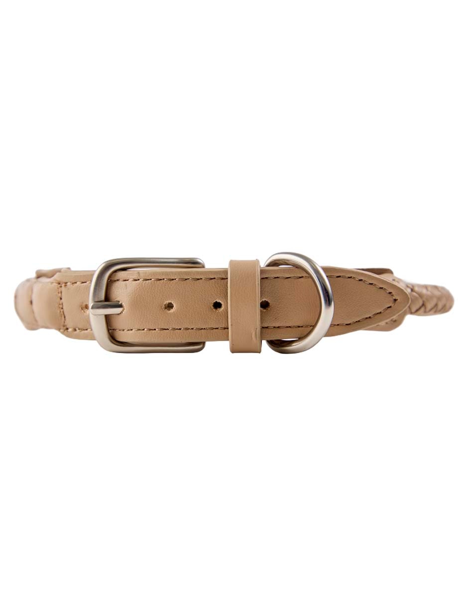 Collar Zoopet para perro
