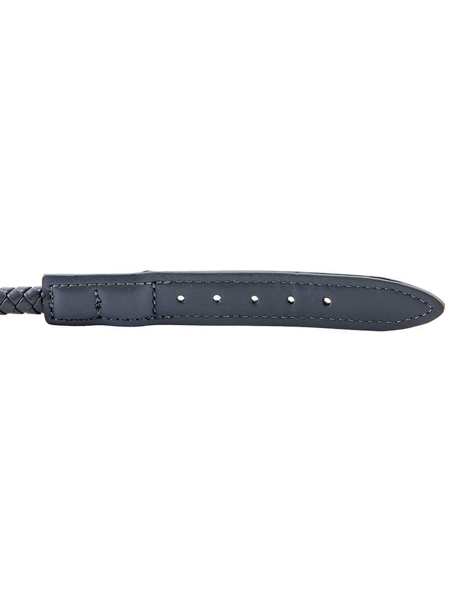 Collar para perro 2