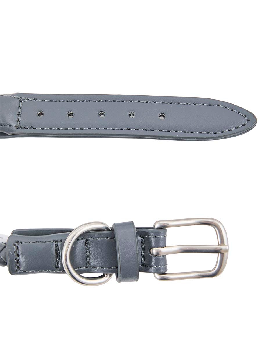 Collar para perro 3