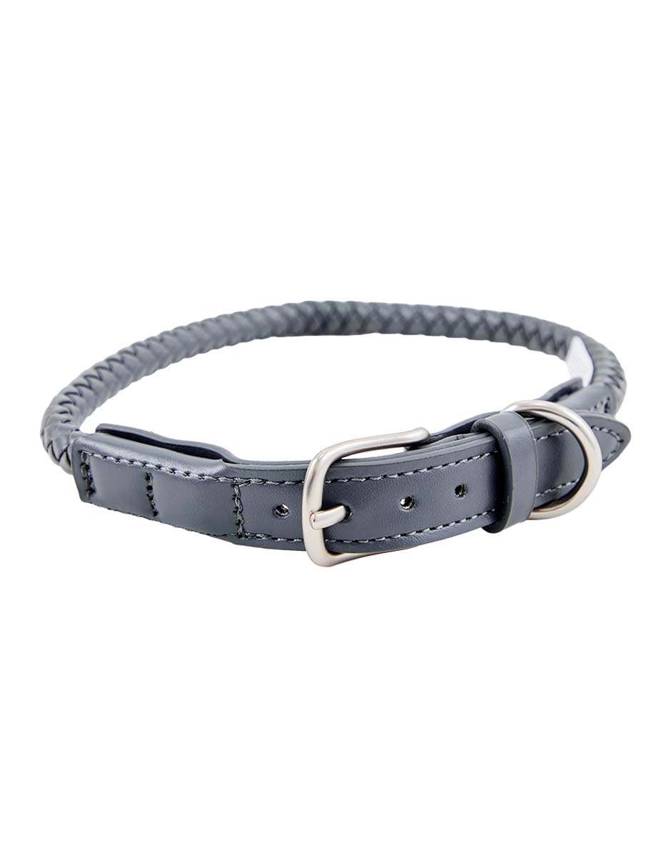 Collar para perro 4