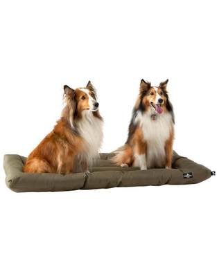 Cama para perro 1