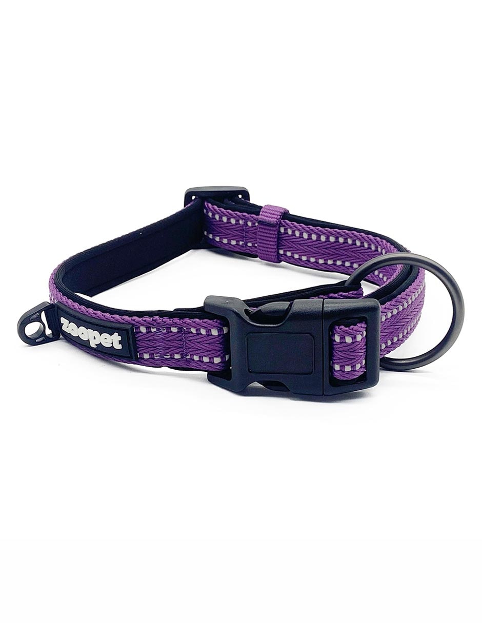 Correa y collar para perro Correa y collar para perro