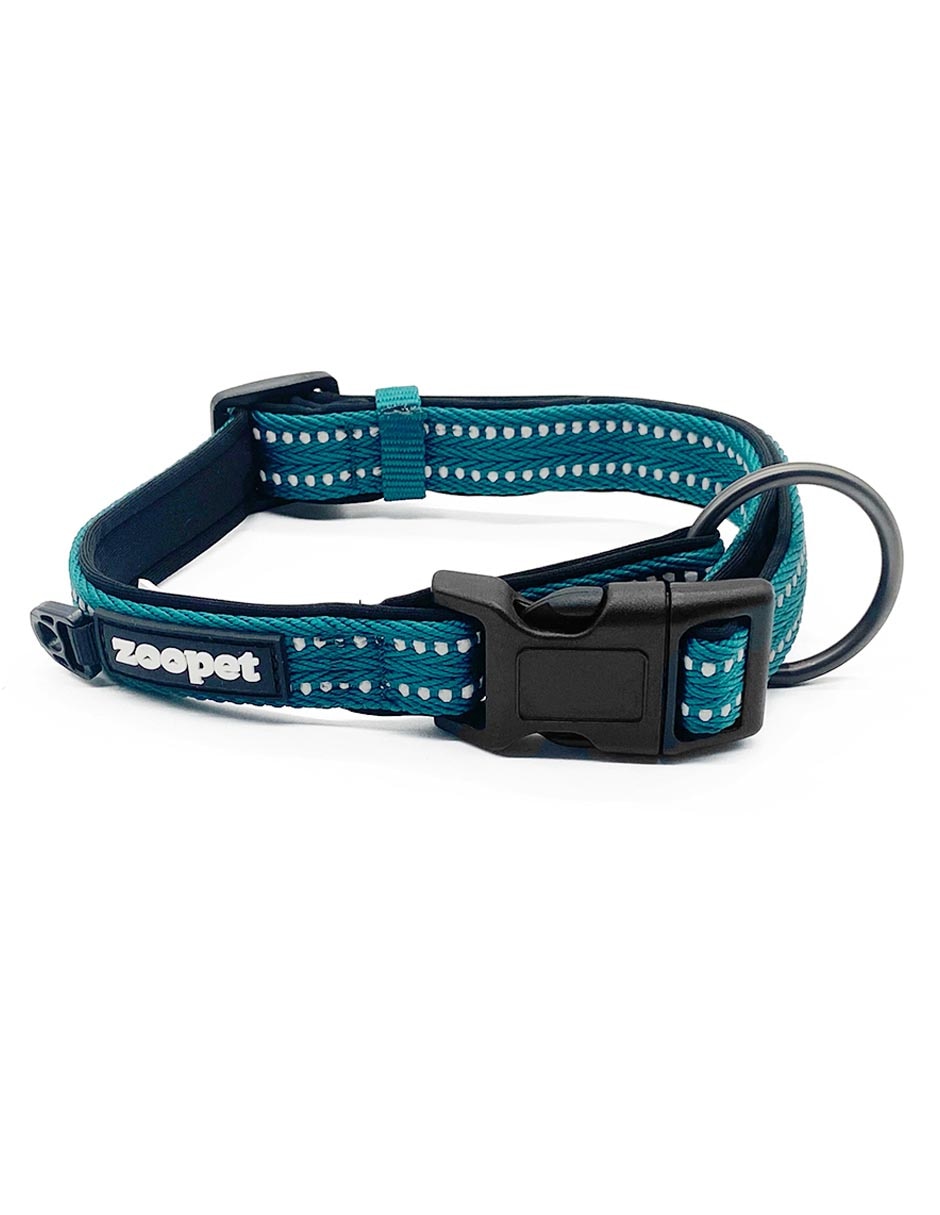 Correa y collar para perro