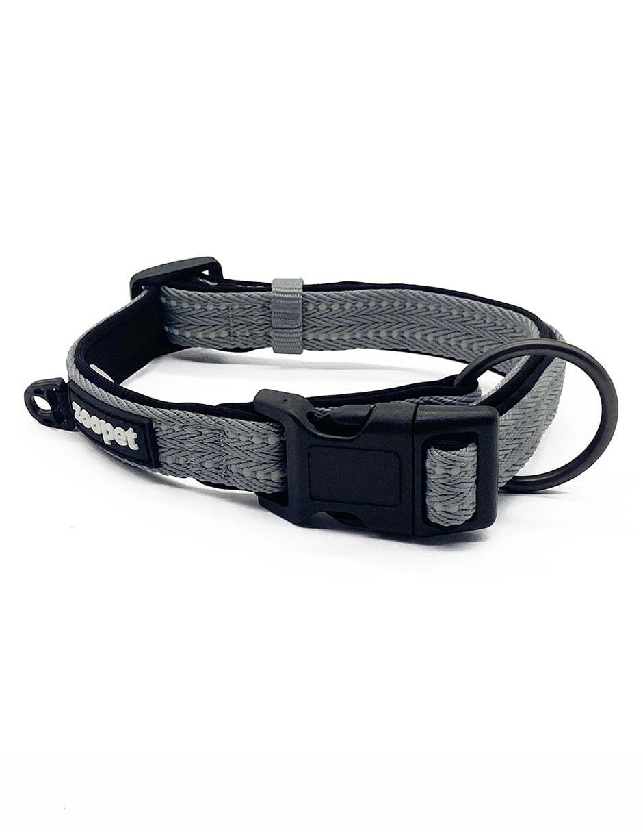 Correa y collar para perro Correa y collar para perro
