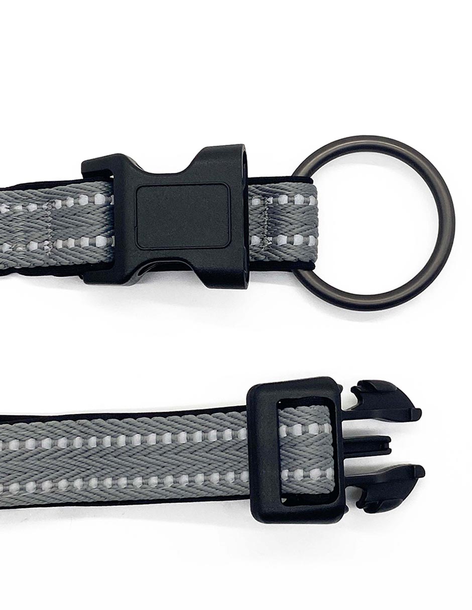 Correa y collar Zoopet para perro