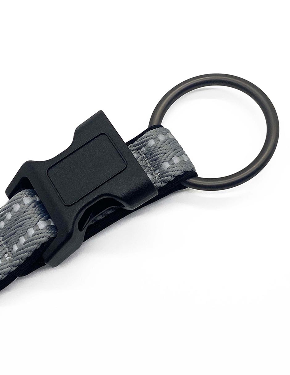 Correa y collar Zoopet para perro