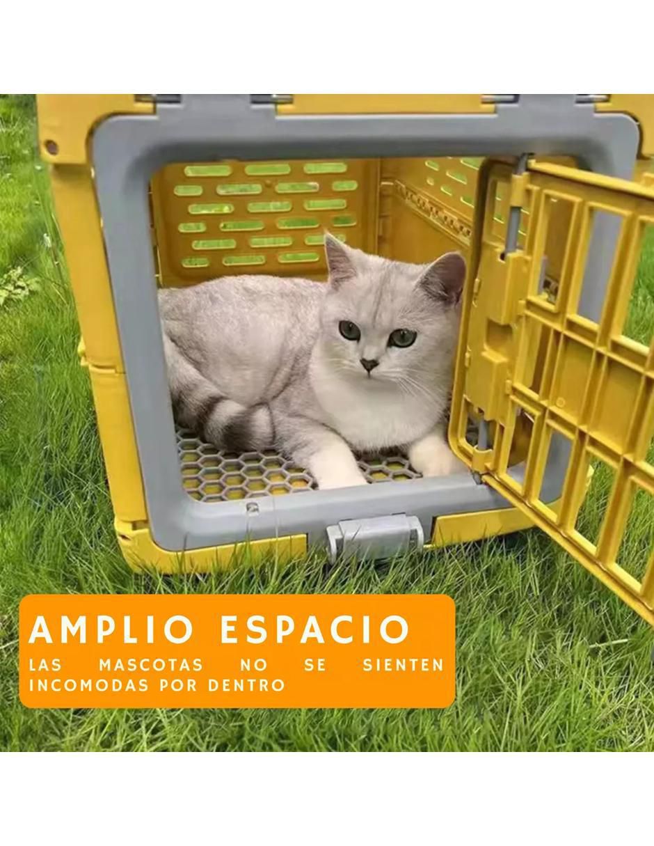 Transportadora para para mascota 2