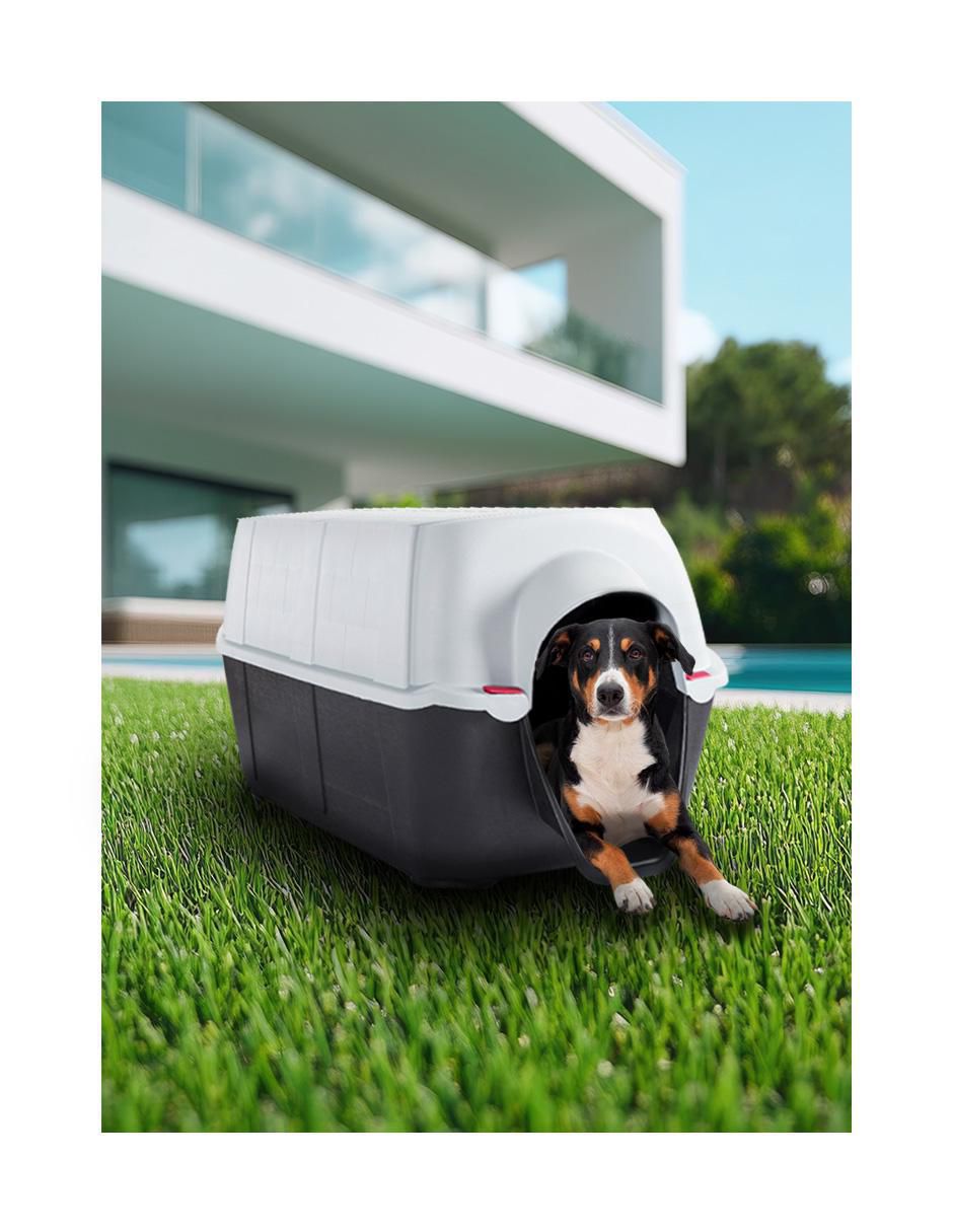 Casa para perro 5
